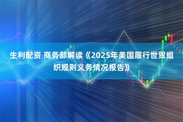 生利配资 商务部解读《2025年美国履行世贸组织规则义务情况报告》