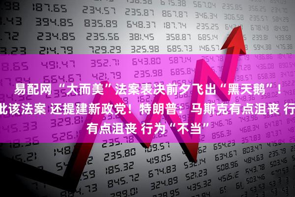 易配网 “大而美”法案表决前夕飞出“黑天鹅”!马斯克再批该法案 还提建新政党!特朗普:马斯克有点沮丧 行为“不当”